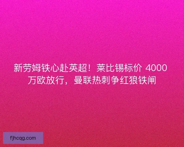 新劳姆铁心赴英超！莱比锡标价 4000 万欧放行，曼联热刺争红狼铁闸